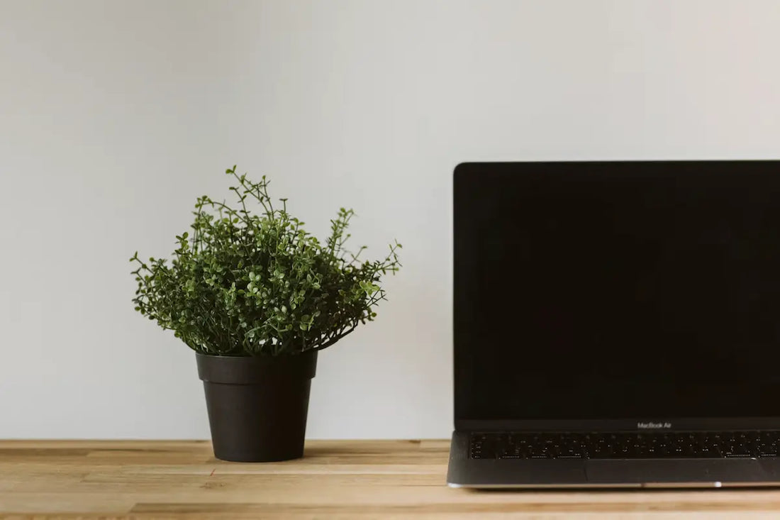 MacBook Air Won't Turn On? Common Causes and What They Cost to Fix