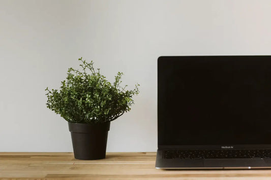 MacBook Air Won't Turn On? Common Causes and What They Cost to Fix